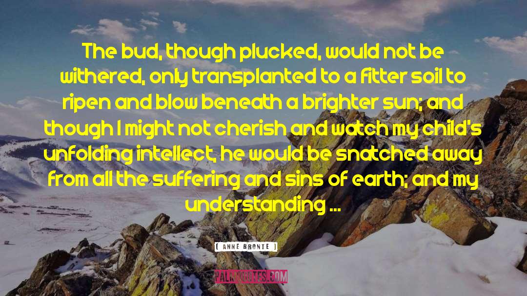 Anne Bronte Quotes: The bud, though plucked, would