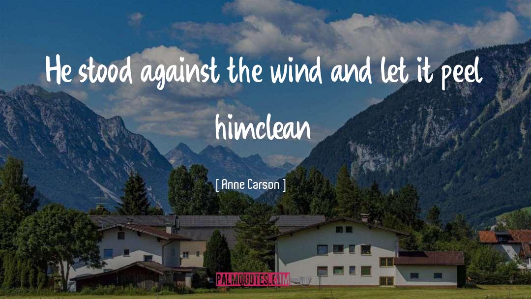 Anne Carson Quotes: He stood against the wind