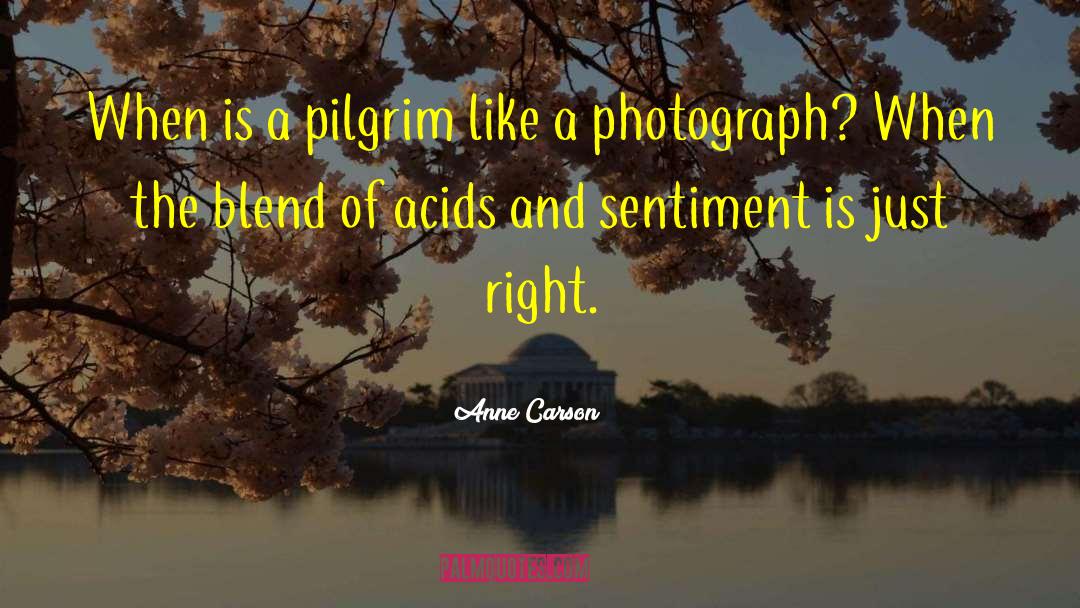 Anne Carson Quotes: When is a pilgrim like