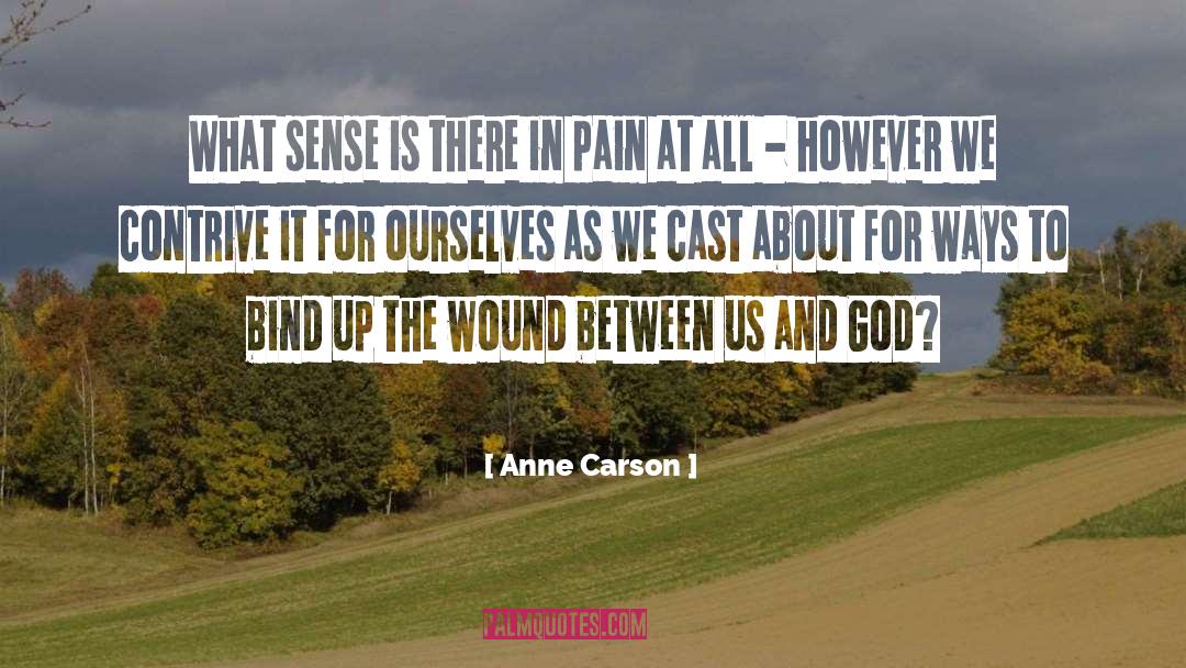 Anne Carson Quotes: What sense is there in