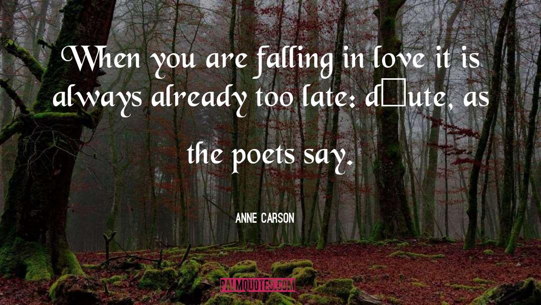 Anne Carson Quotes: When you are falling in