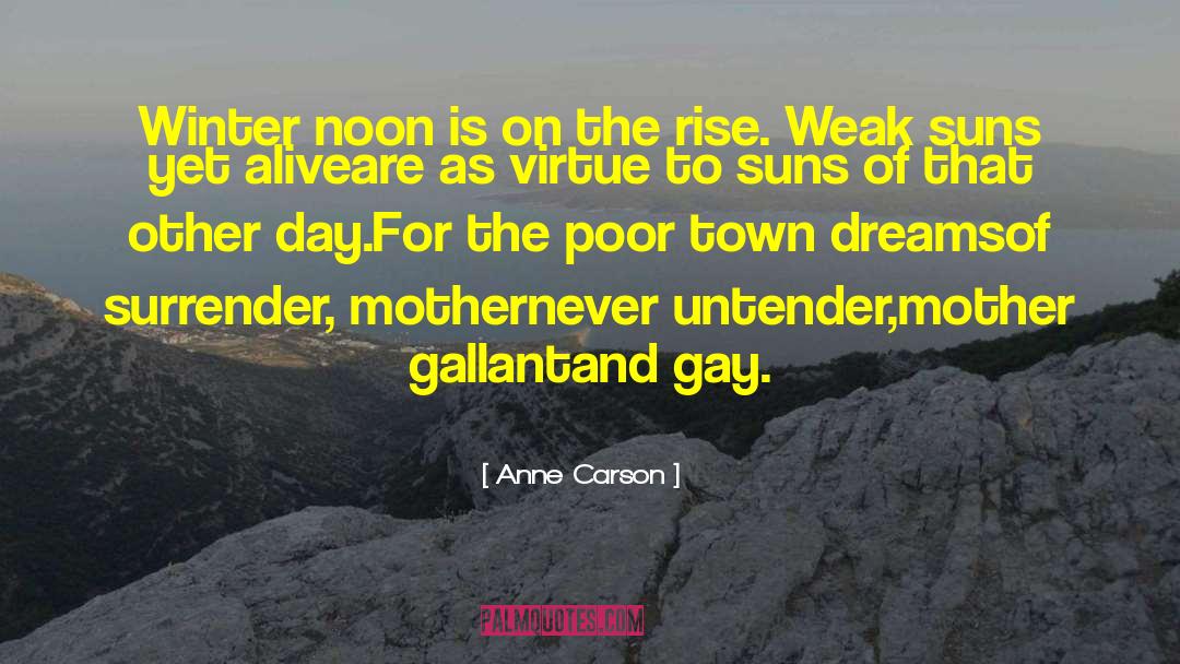 Anne Carson Quotes: Winter noon is on the