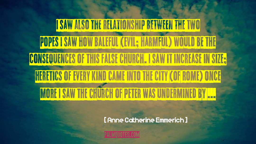 Anne Catherine Emmerich Quotes: I saw also the relationship