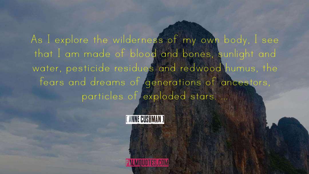 Anne Cushman Quotes: As I explore the wilderness