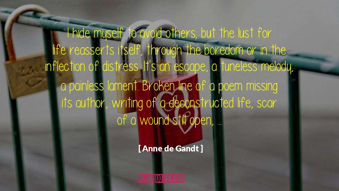 Anne De Gandt Quotes: I hide myself to avoid