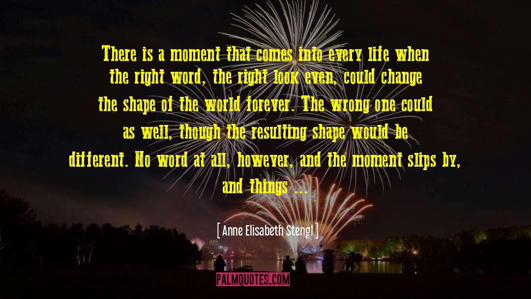 Anne Elisabeth Stengl Quotes: There is a moment that