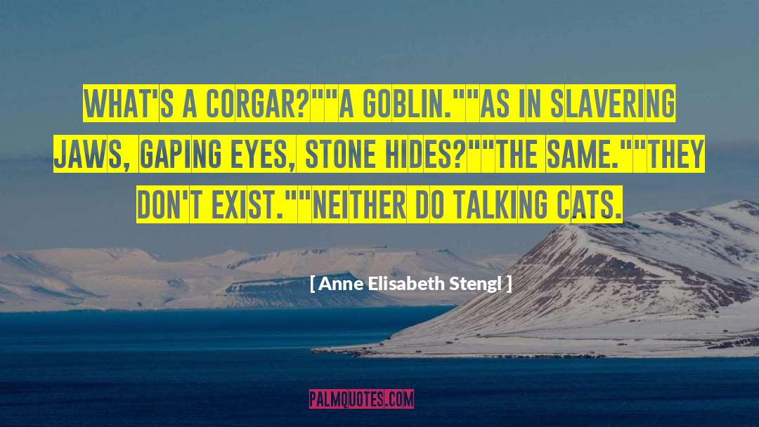 Anne Elisabeth Stengl Quotes: What's a Corgar?