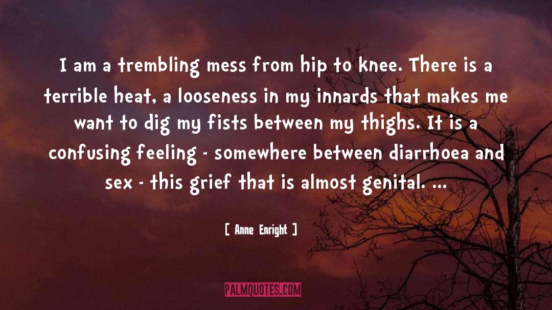 Anne Enright Quotes: I am a trembling mess