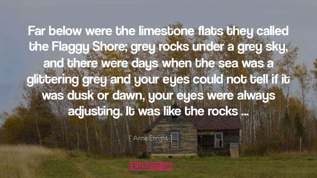 Anne Enright Quotes: Far below were the limestone