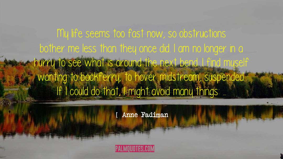 Anne Fadiman Quotes: My life seems too fast