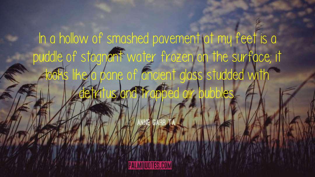 Anne Garréta Quotes: In a hollow of smashed