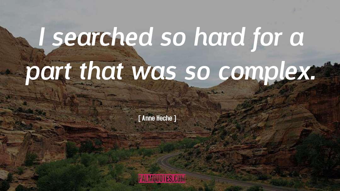 Anne Heche Quotes: I searched so hard for