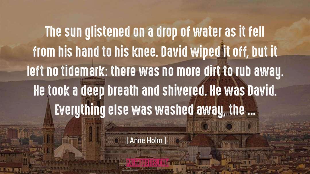 Anne Holm Quotes: The sun glistened on a