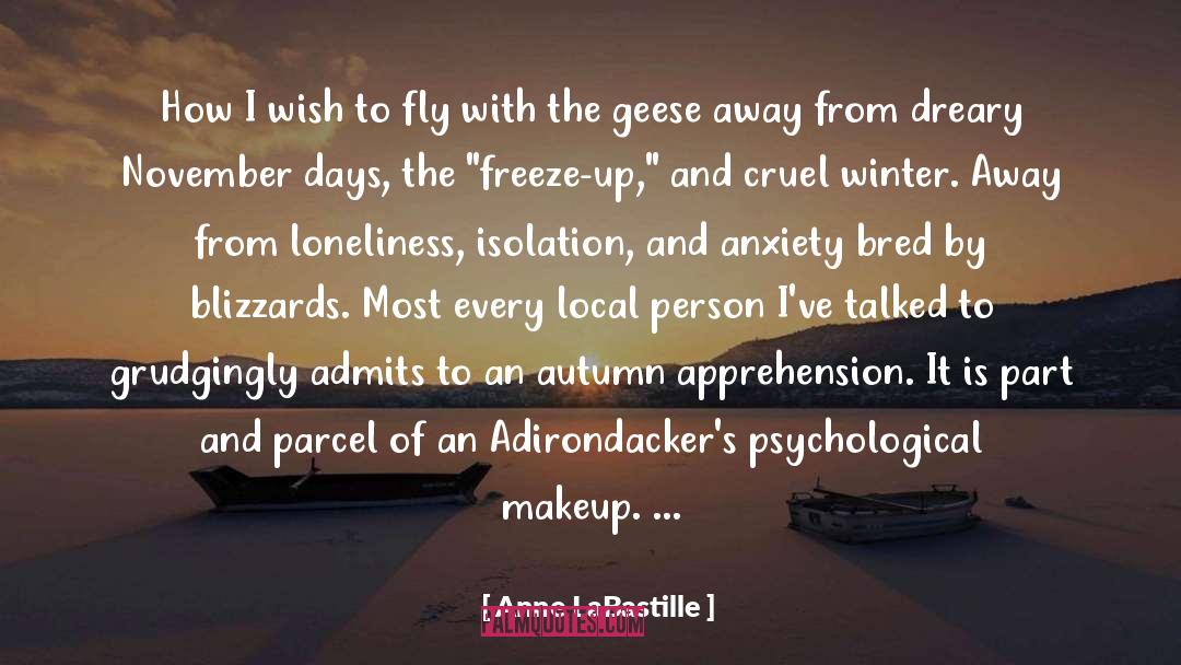 Anne LaBastille Quotes: How I wish to fly