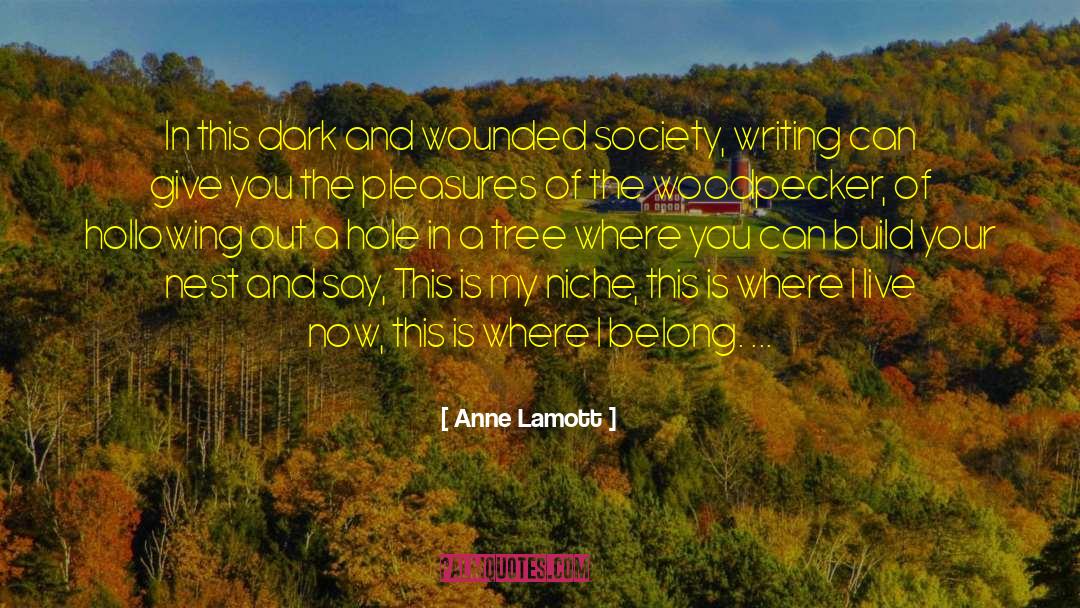 Anne Lamott Quotes: In this dark and wounded