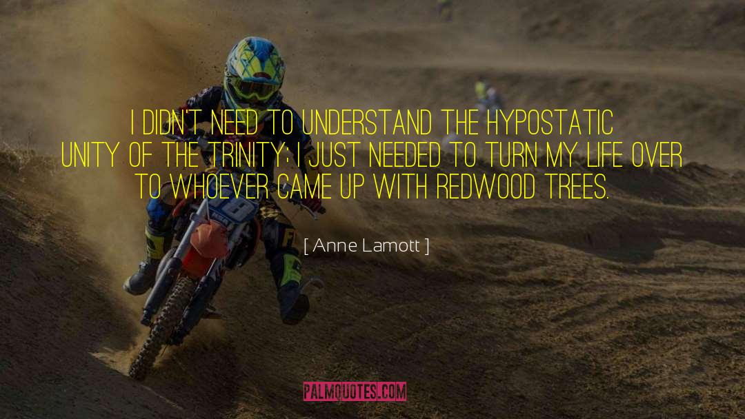 Anne Lamott Quotes: I didn't need to understand