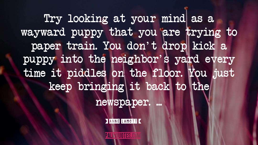 Anne Lamott Quotes: Try looking at your mind