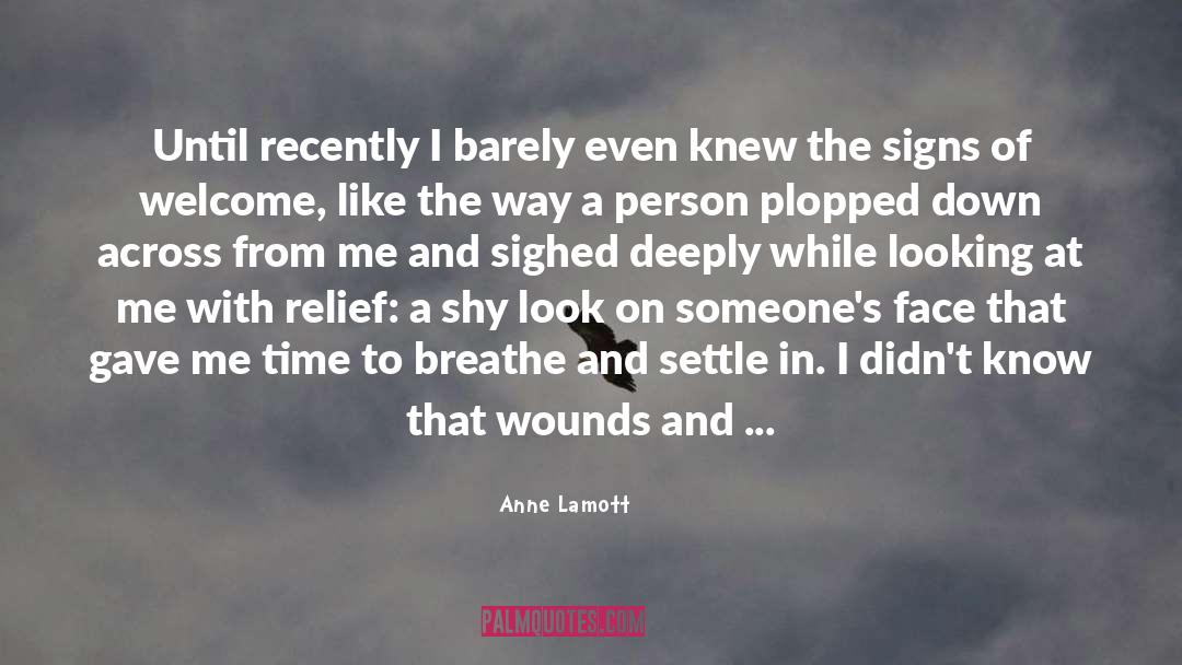 Anne Lamott Quotes: Until recently I barely even