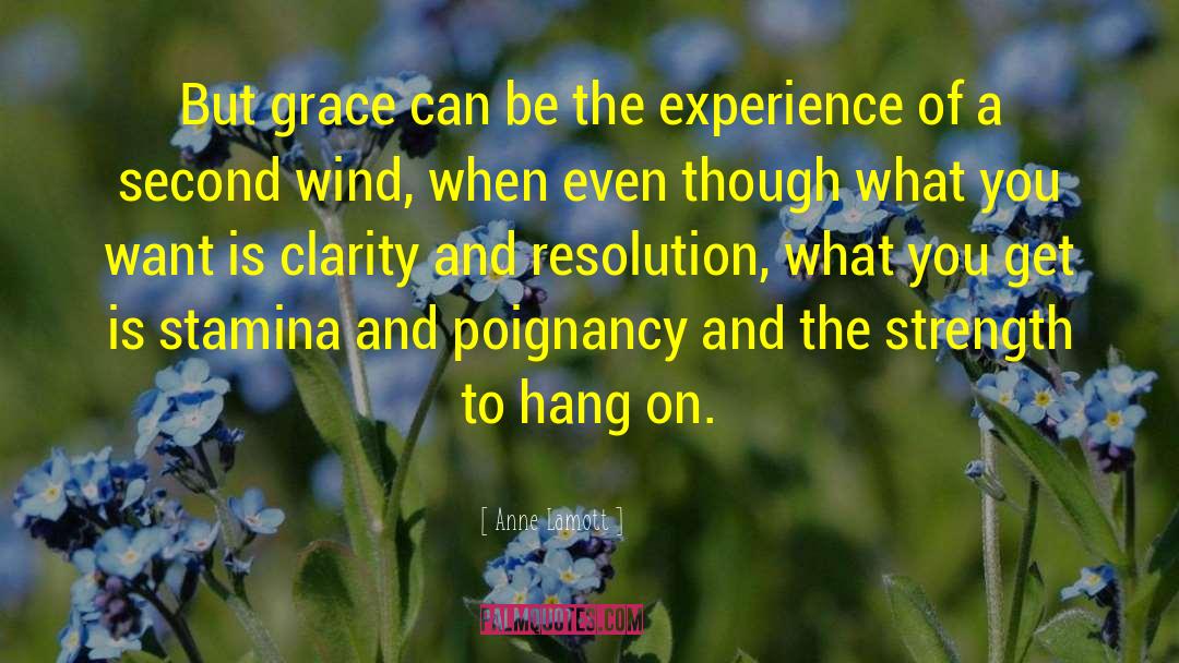 Anne Lamott Quotes: But grace can be the