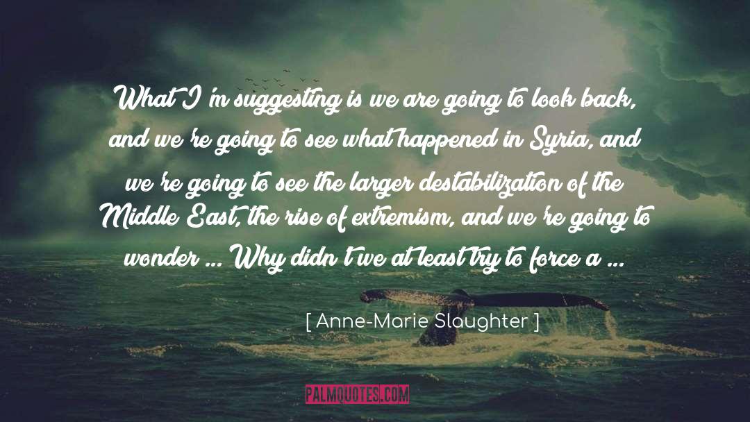 Anne-Marie Slaughter Quotes: What I'm suggesting is we