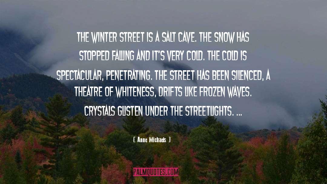 Anne Michaels Quotes: The winter street is a