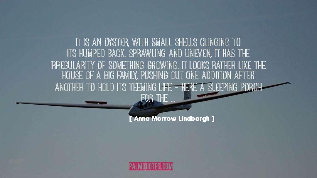 Anne Morrow Lindbergh Quotes: It is an oyster, with