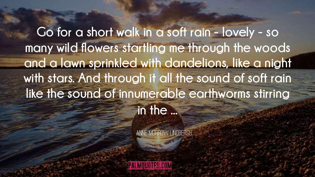 Anne Morrow Lindbergh Quotes: Go for a short walk