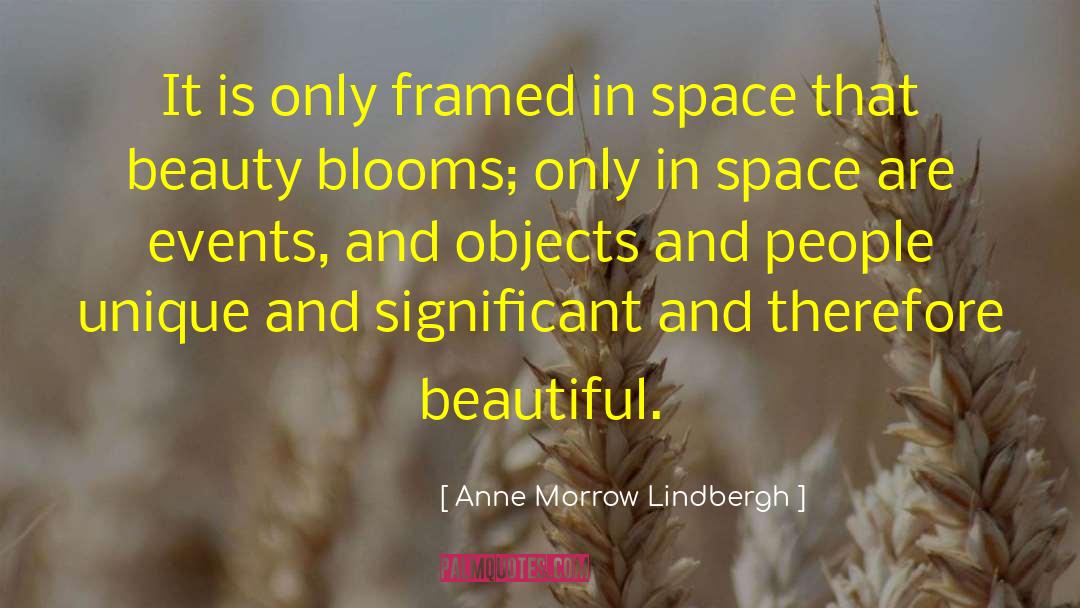 Anne Morrow Lindbergh Quotes: It is only framed in