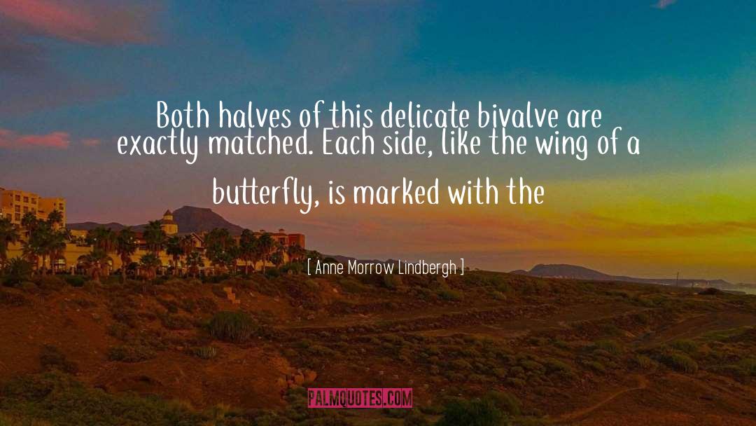 Anne Morrow Lindbergh Quotes: Both halves of this delicate