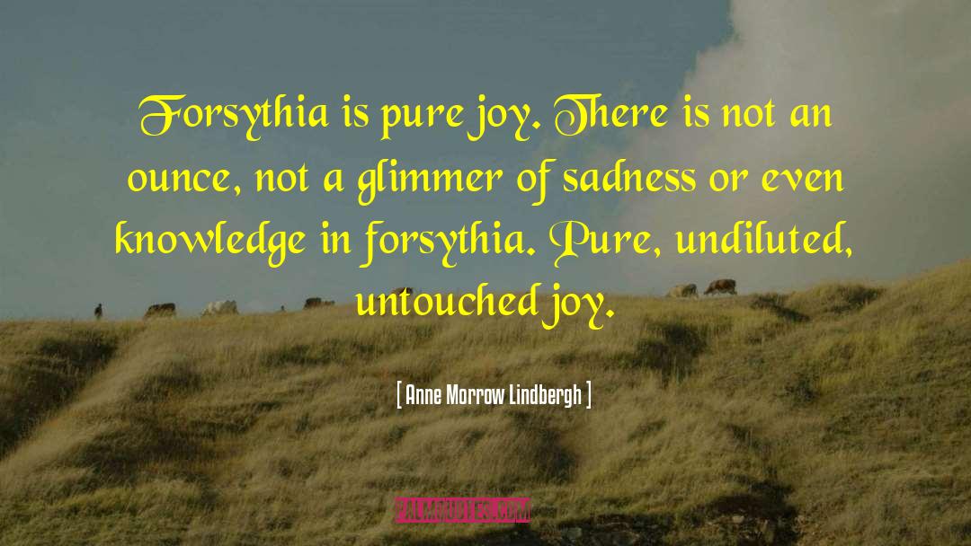 Anne Morrow Lindbergh Quotes: Forsythia is pure joy. There