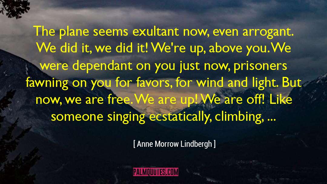 Anne Morrow Lindbergh Quotes: The plane seems exultant now,