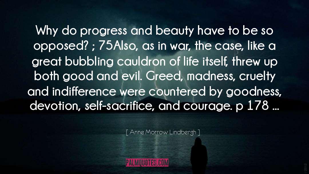 Anne Morrow Lindbergh Quotes: Why do progress and beauty