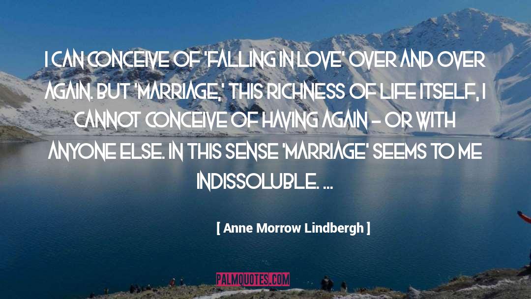 Anne Morrow Lindbergh Quotes: I can conceive of 'falling