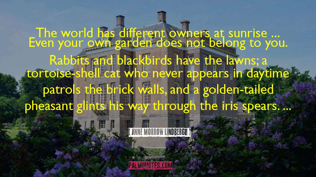Anne Morrow Lindbergh Quotes: The world has different owners