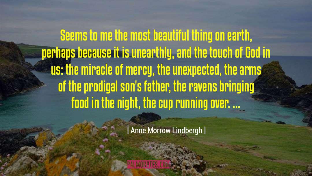 Anne Morrow Lindbergh Quotes: Seems to me the most