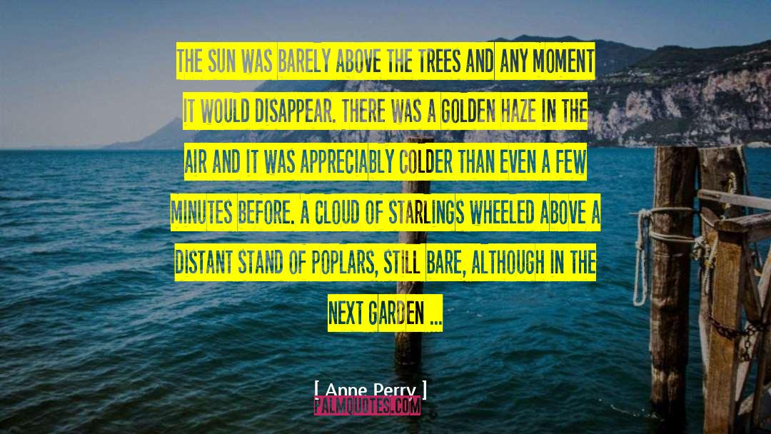 Anne Perry Quotes: The sun was barely above