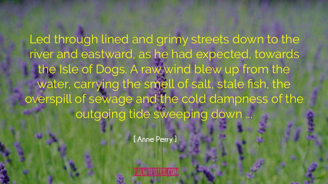 Anne Perry Quotes: Led through lined and grimy