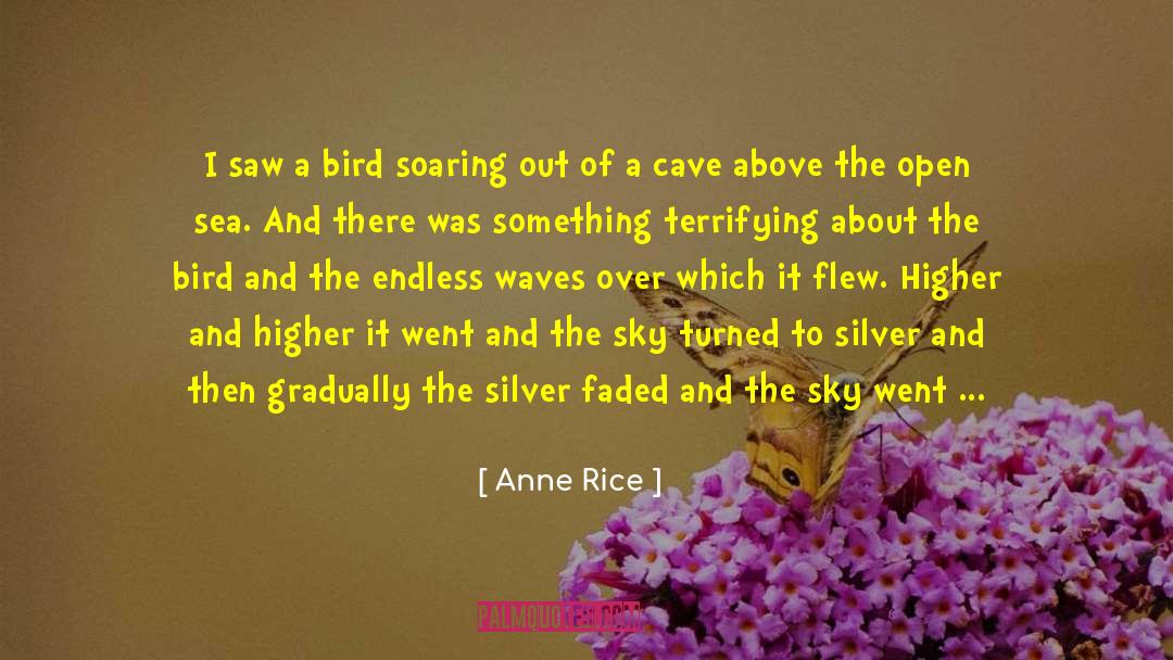 Anne Rice Quotes: I saw a bird soaring
