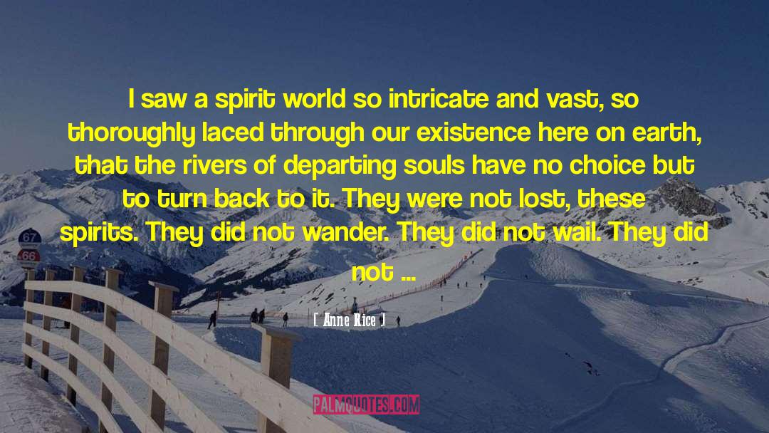 Anne Rice Quotes: I saw a spirit world