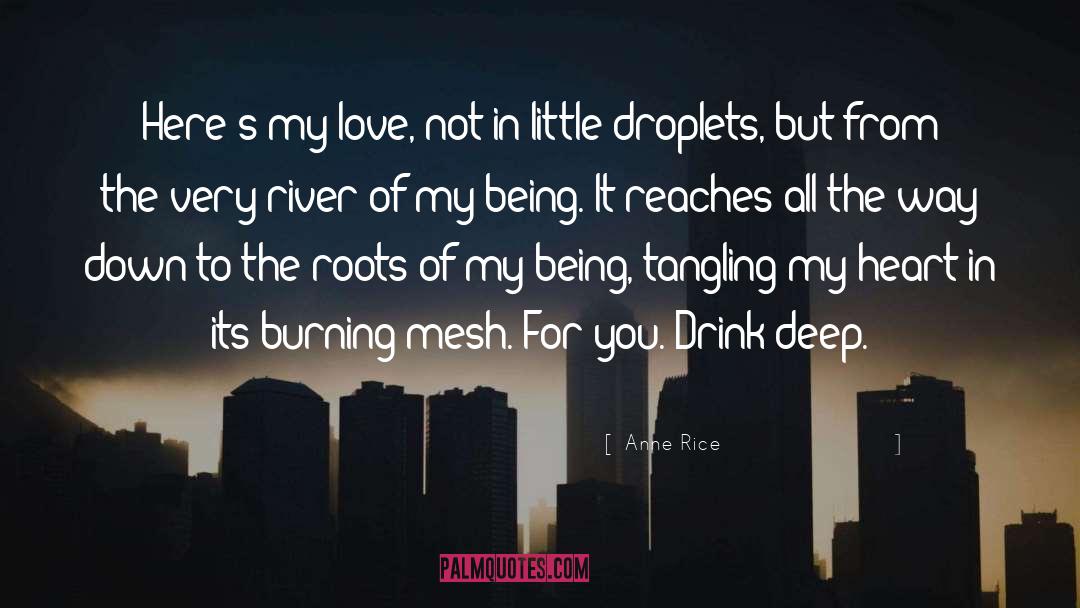 Anne Rice Quotes: Here's my love, not in