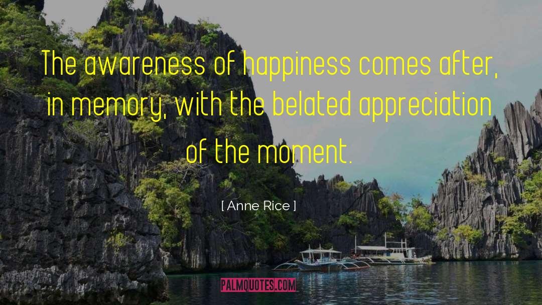 Anne Rice Quotes: The awareness of happiness comes