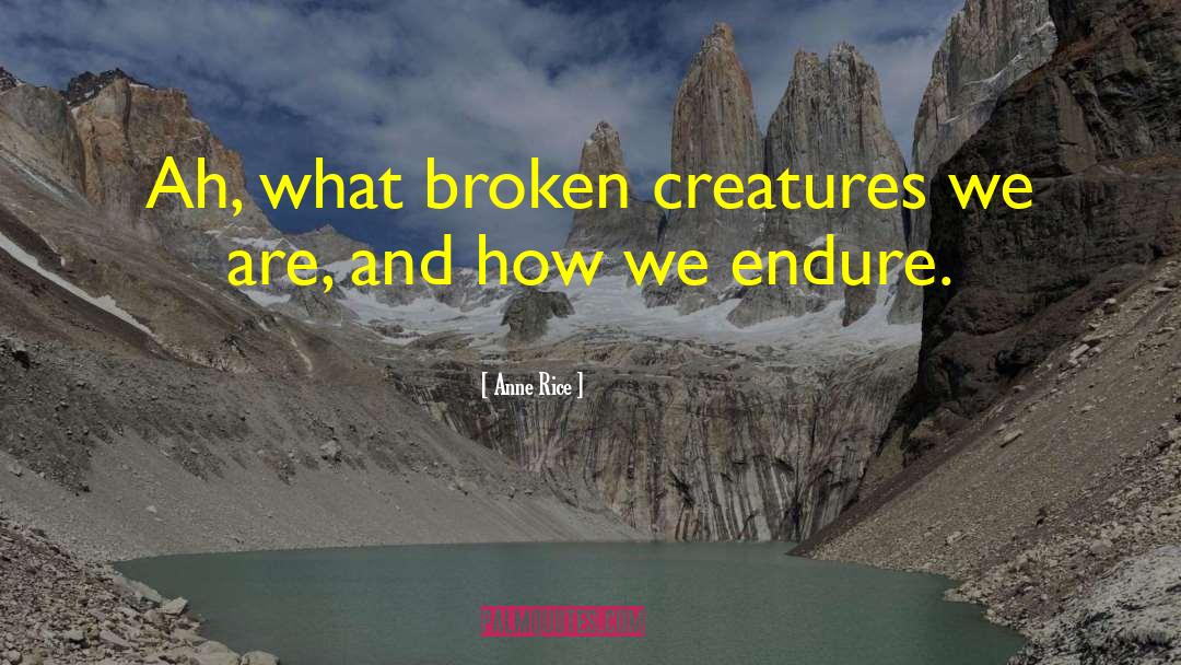 Anne Rice Quotes: Ah, what broken creatures we