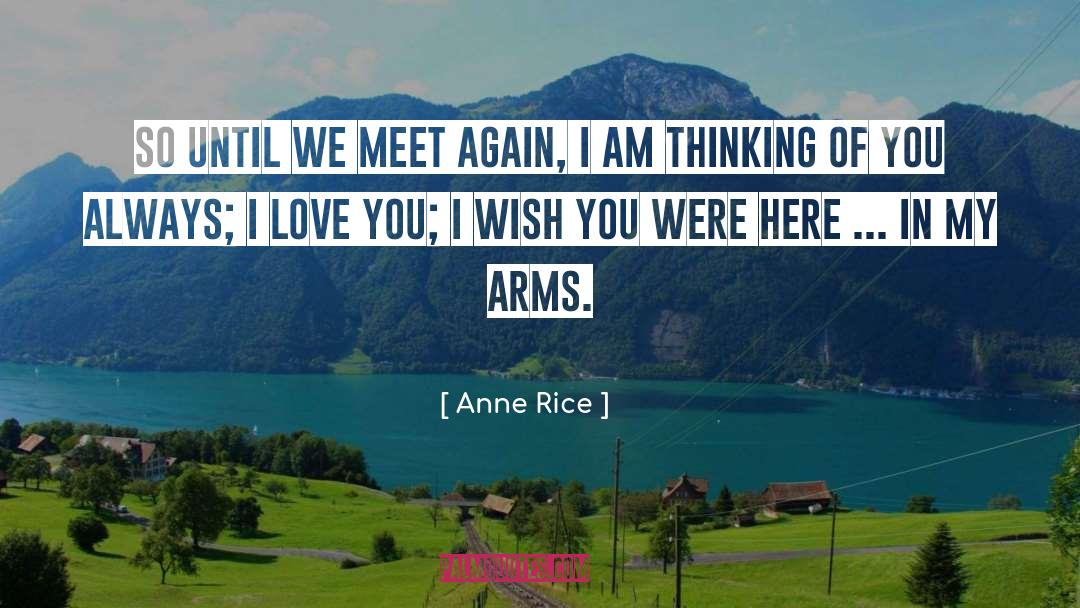 Anne Rice Quotes: So until we meet again,