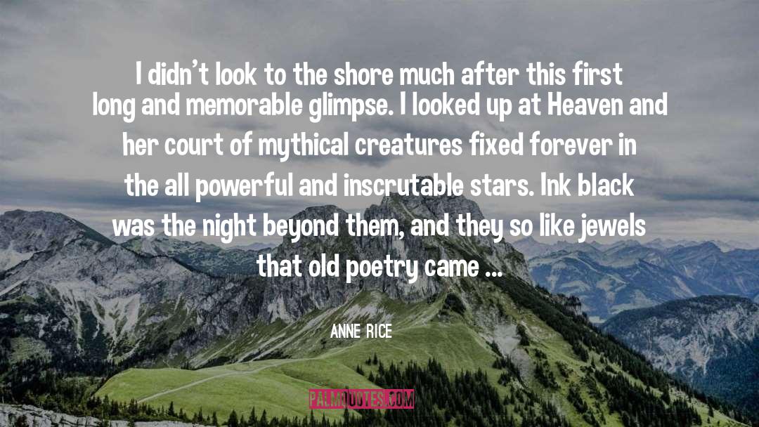 Anne Rice Quotes: I didn't look to the