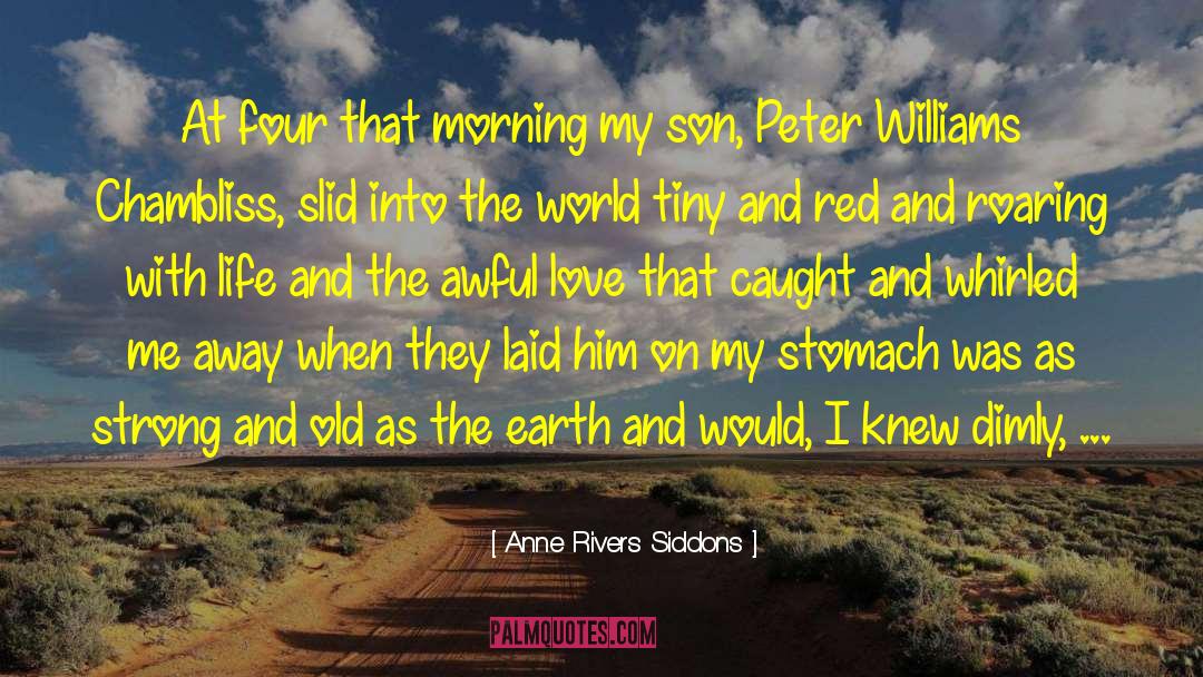 Anne Rivers Siddons Quotes: At four that morning my