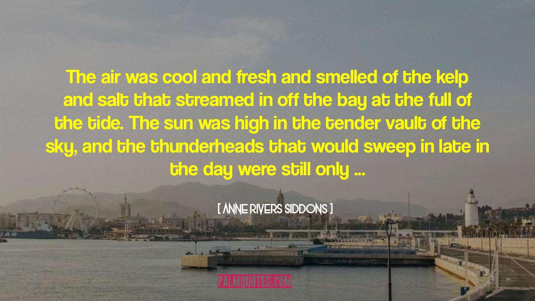 Anne Rivers Siddons Quotes: The air was cool and