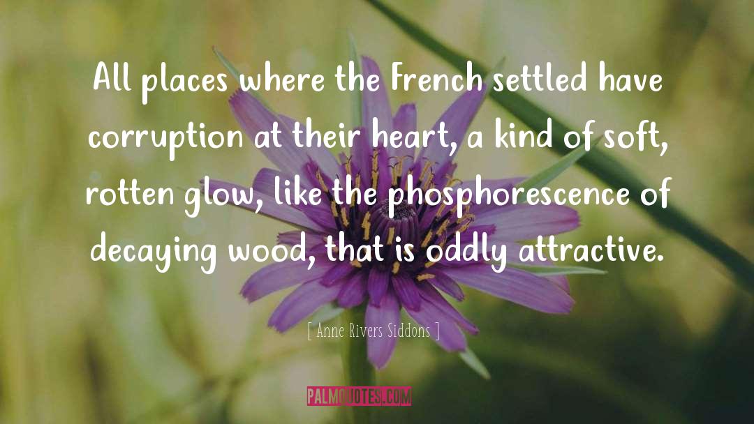 Anne Rivers Siddons Quotes: All places where the French