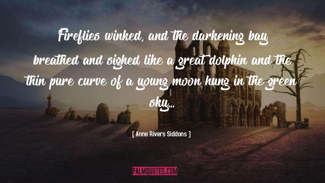 Anne Rivers Siddons Quotes: Fireflies winked, and the darkening