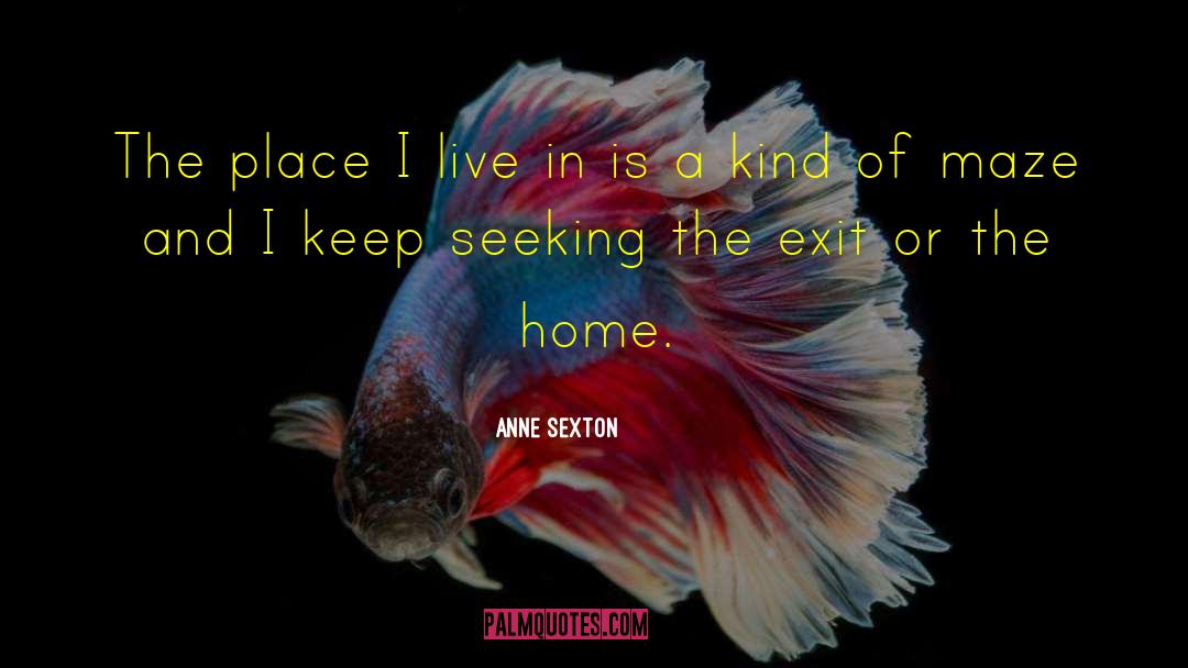Anne Sexton Quotes: The place I live in