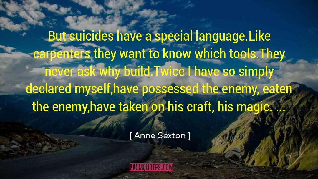 Anne Sexton Quotes: But suicides have a special